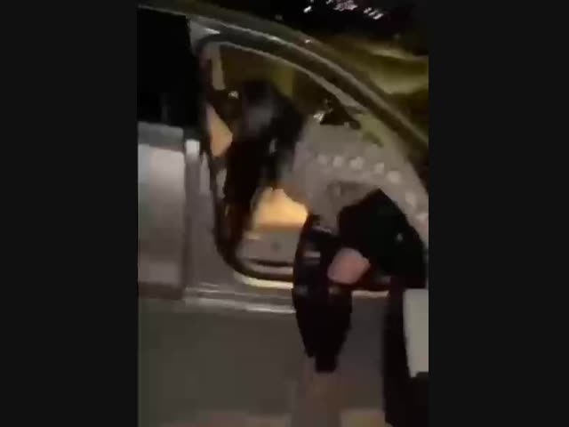 Выходные прошли отлично