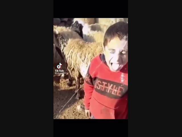 Всё понятно