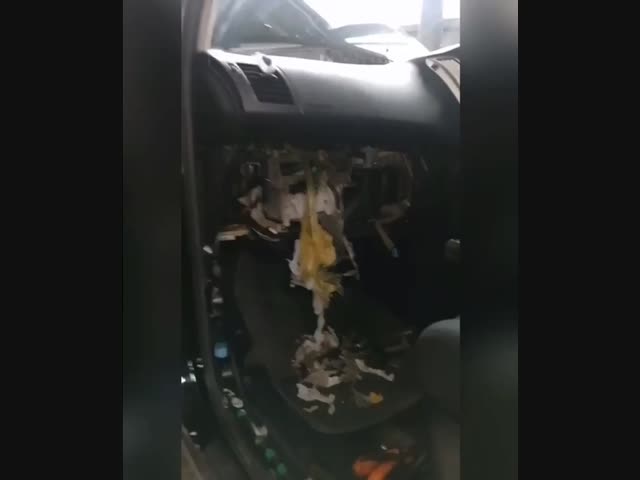 Запасливая