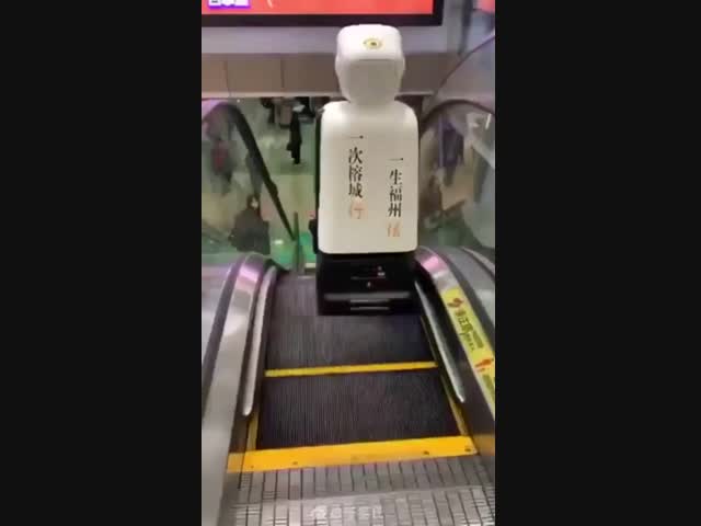 Посторонись! Роботы идут!