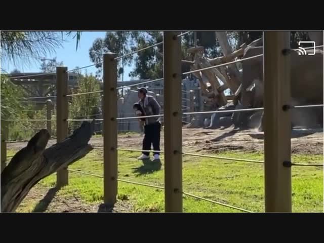 Дурак чуть не погиб сам и не погубил ребёнка