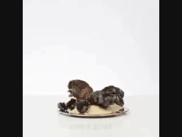 Набор для химического опыта