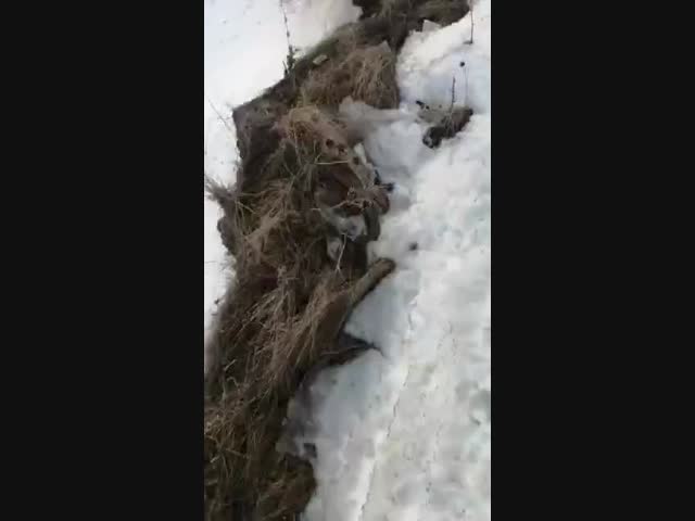 Уважение и почет такому ответственному гражданину