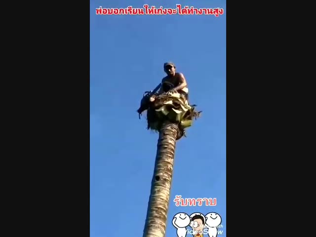 Крепкий малый.