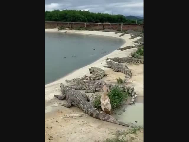 Врёшь, не возьмёшь!!!