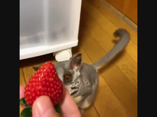 Что это такое?!