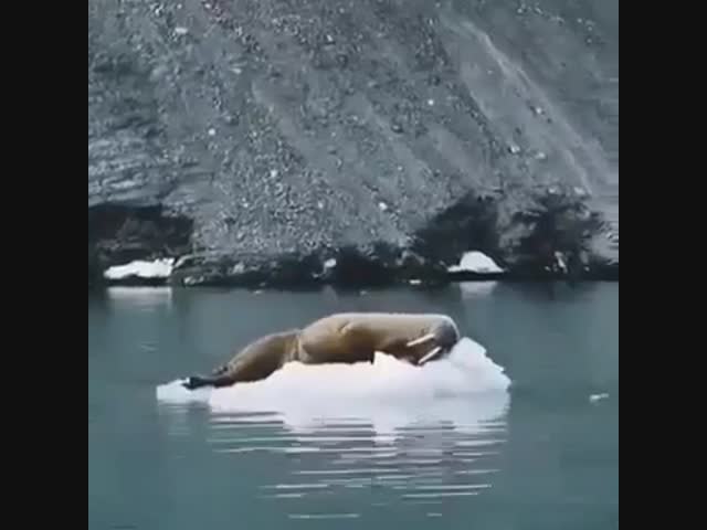 Вместо надувного матраса