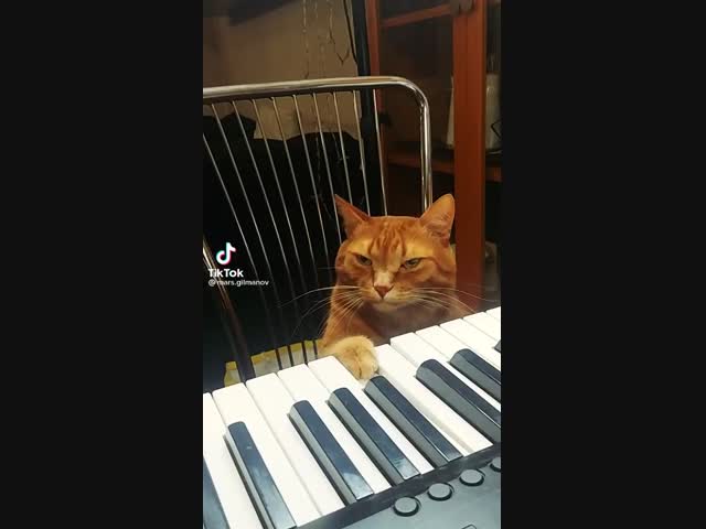 Не ругайте пианиста, он играет, как умеет