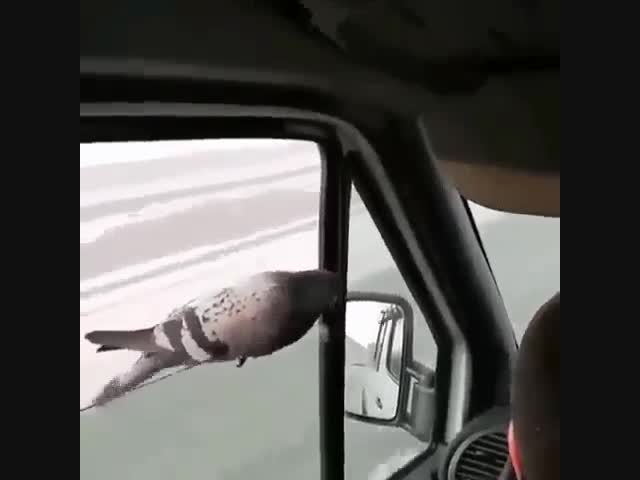 У Вас есть что перекусить?