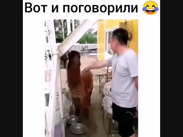 Братья по разуму!