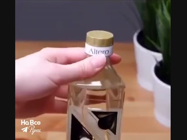 Век живи — век учись