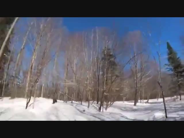 Охота пошла не по плану