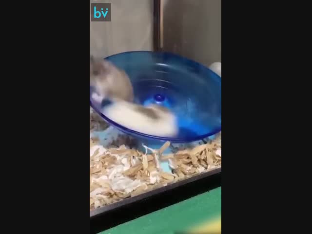 Бег по кругу - это как наша жизнь