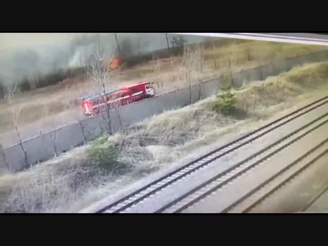 Не хватает только медведя за рулём