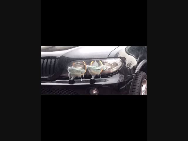 Омыватели фар