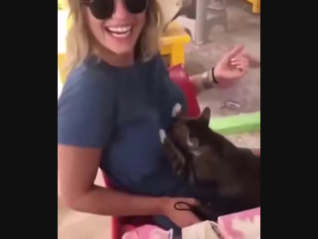 Моя прелесть!