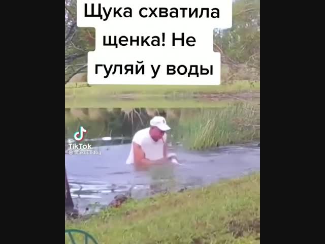 Это не щука, а целый крокодил