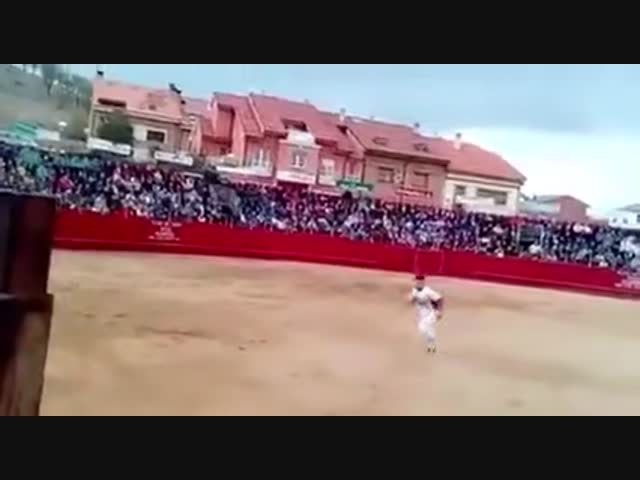 Бык давно об этом мечтал