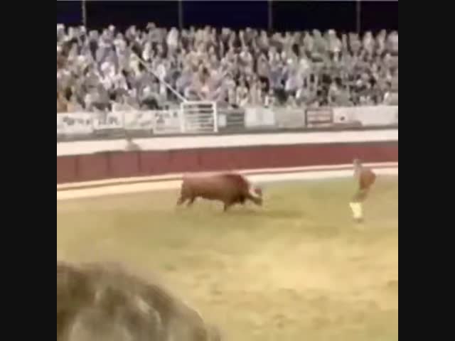 Взять быка за рога