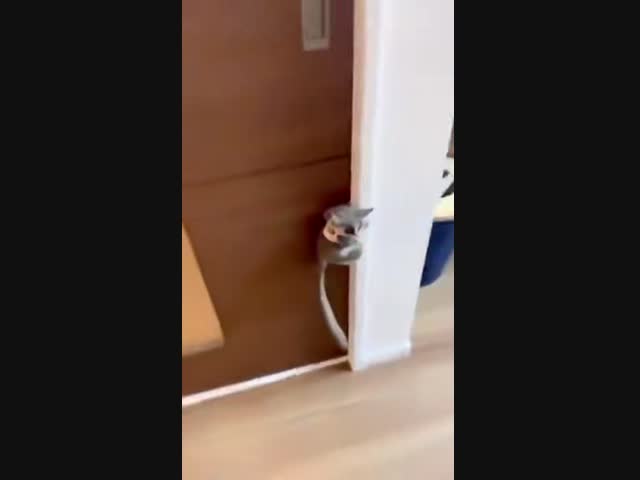 Изыди, зверюга!