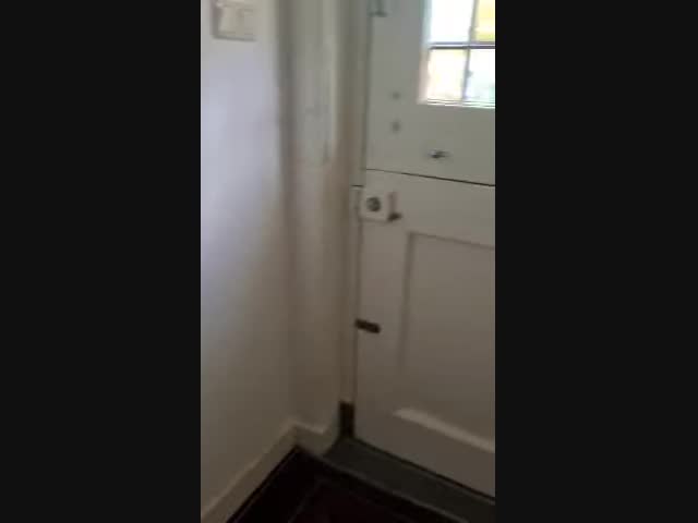 Новые жильцы