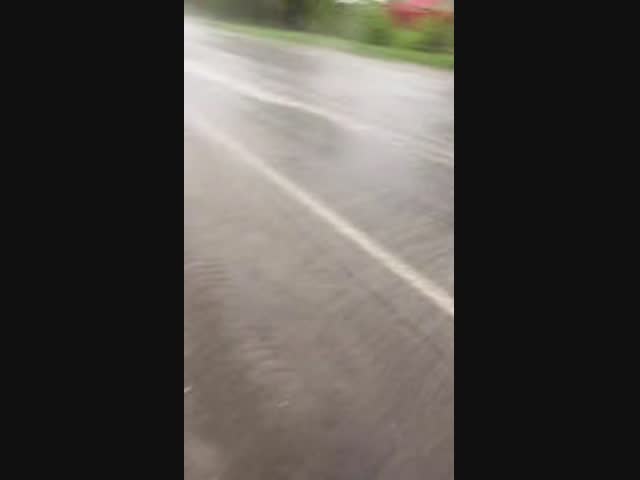 Нечего на зеркало пенять, коли рожа крива