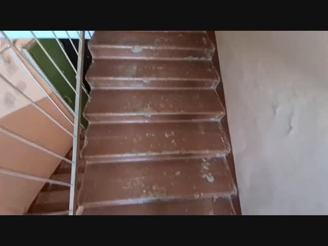 Иногда нужно немного приглядеться, чтобы увидеть прекрасное