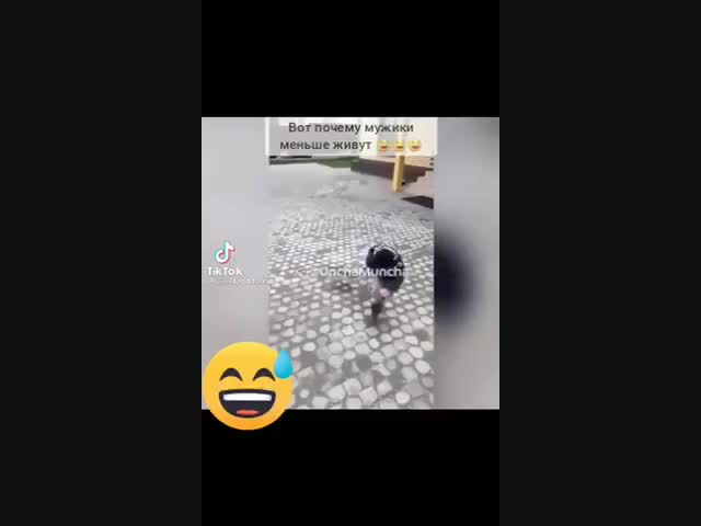 Зато весело