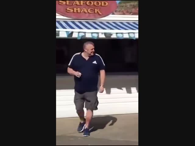 Британец ударил кулаком чайку, которая пыталась стащить еду со стола