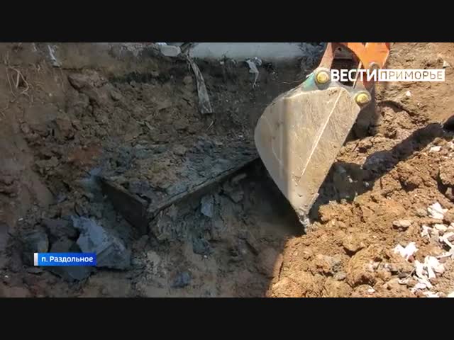 Гробы с изуродованными останками: эксперты озвучили версии шокирующей находки в Приморье
