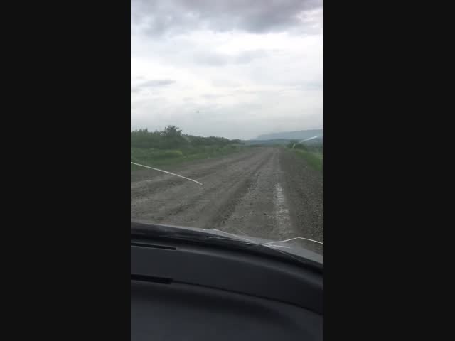 Хороший видос получился,душевный