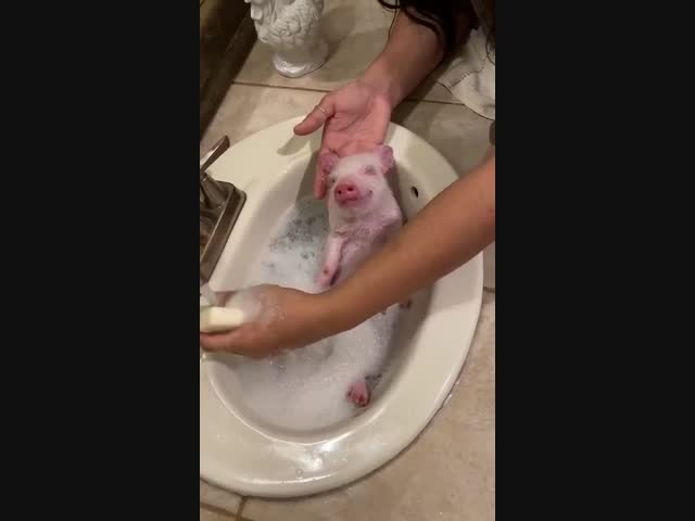 Я после работки в поисках релакса