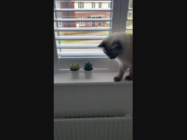 Понаставили тут