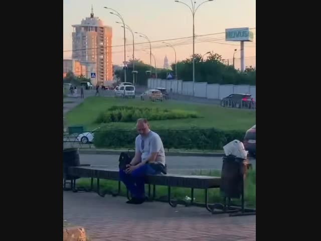 Киевская ворона