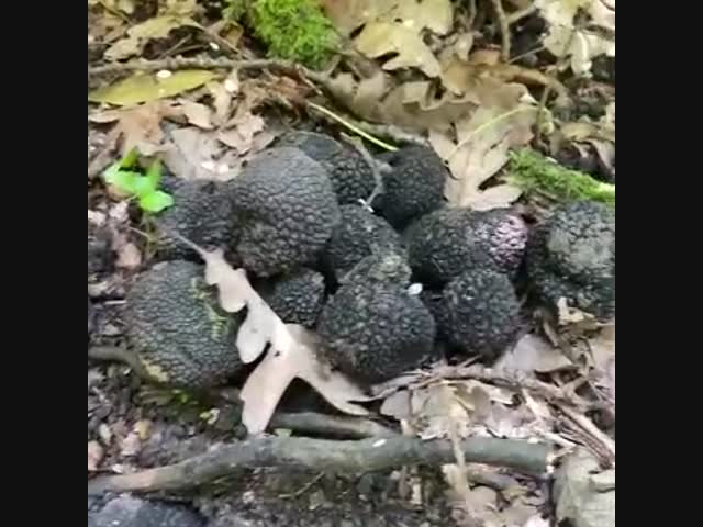 Теперь вы знаете как выглядит богатство