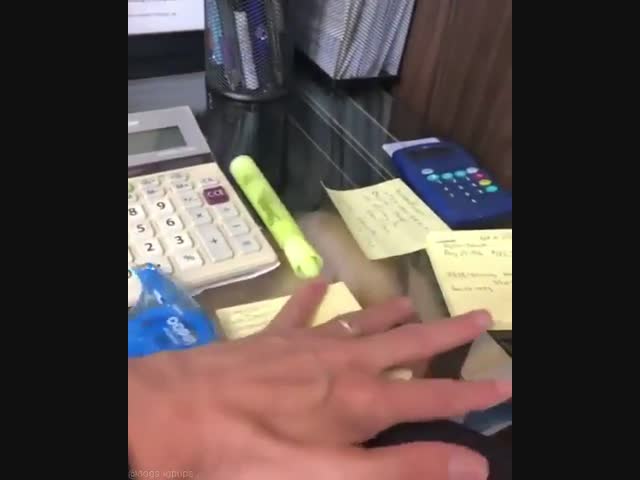 Эти глаза напротив