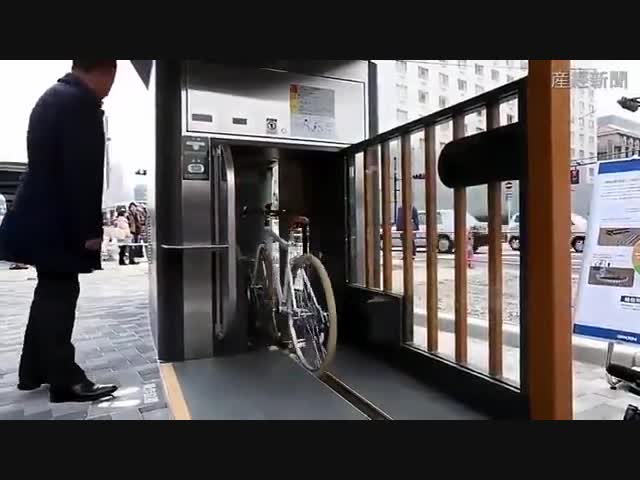 Bелопарковка в Японии