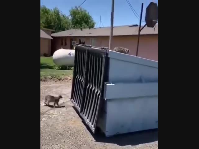 Умеет создавать себе проблемы