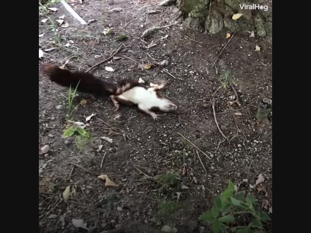 Молодец парень - не побоялся помочь!