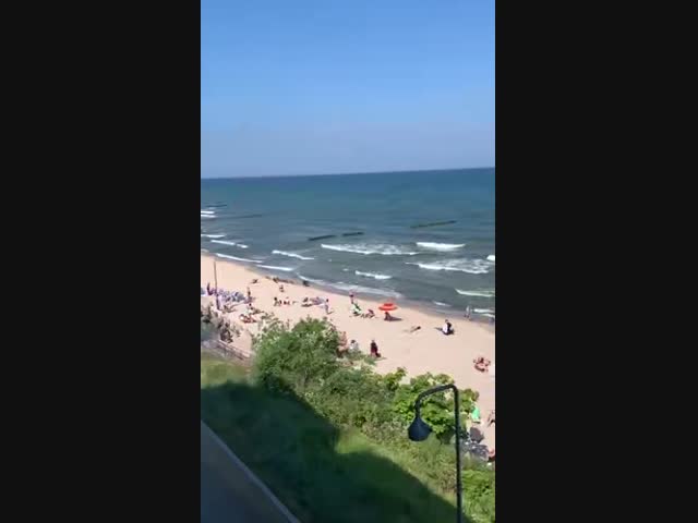 Кабаны на пляже