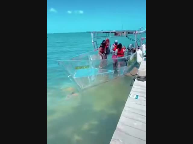 Прозрачный катер