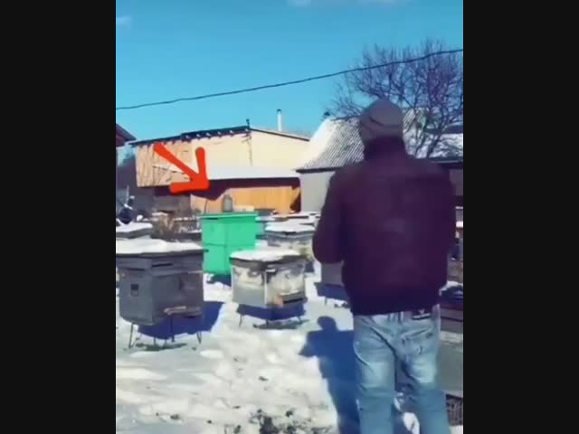 Не ожидал такой концовки