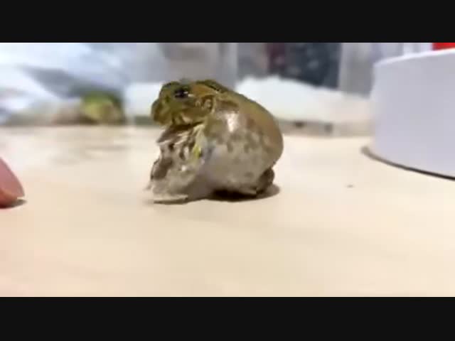 Только без рук!