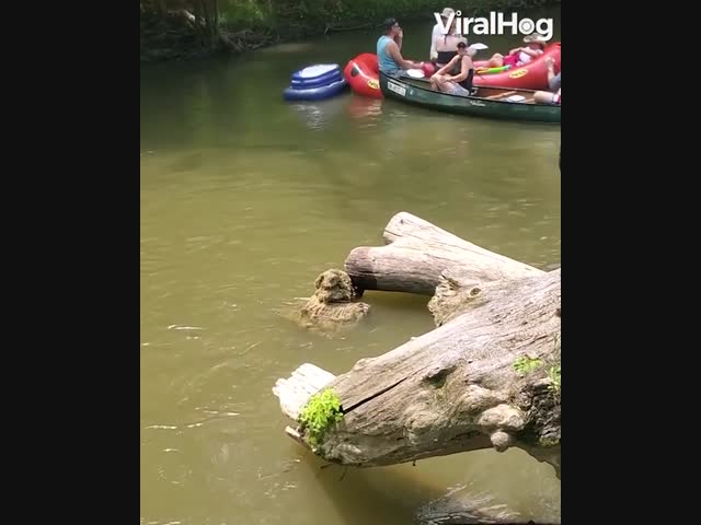 Мастер-пугастер