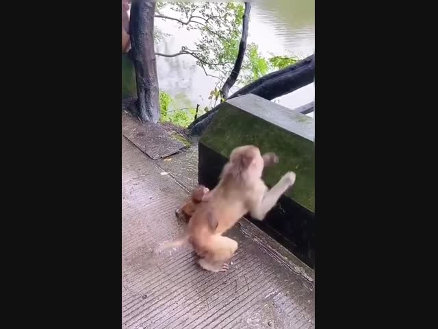 Спартанское воспитание