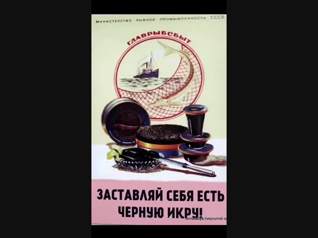 Из нашего недавнего прошлого