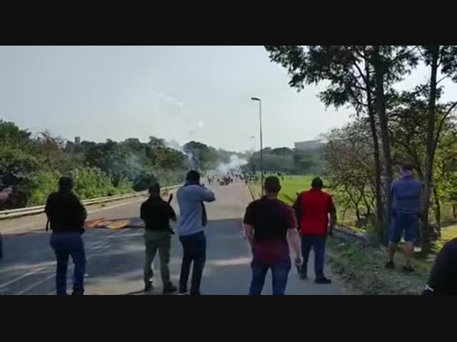 Черные объединились с белыми против мародёров