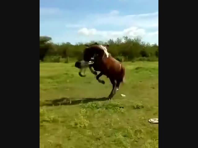 Слезай! Ты мне не нравишься