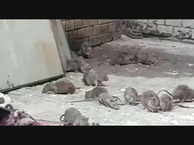 Нет, это не фильм ужасов