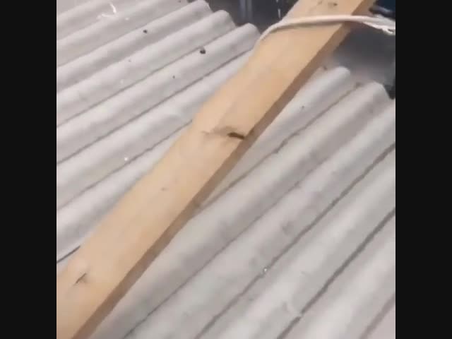 Выглядит безопасно